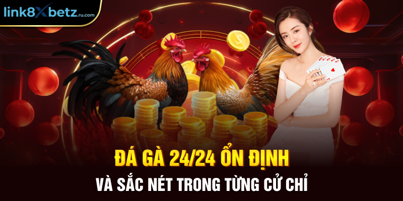 Đá gà 24/24 ổn định và sắc nét trong từng cử chỉ